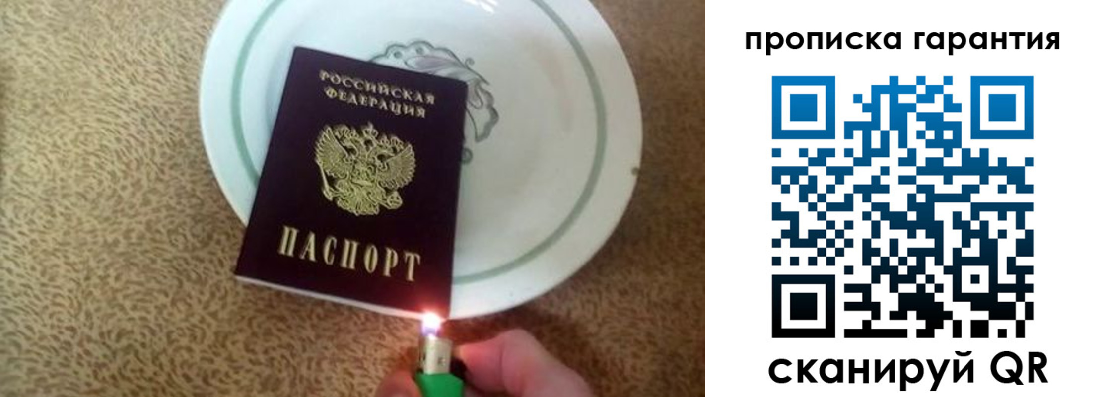 прописка гарантия в Сясьстрое